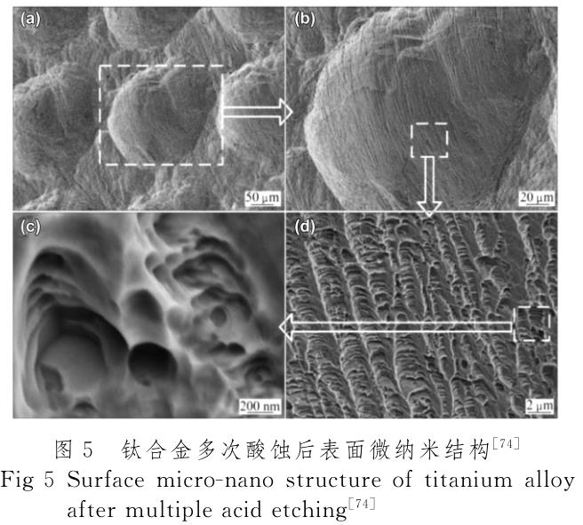 醫(yī)用鈦合金表面改性技術(shù)研究進(jìn)展