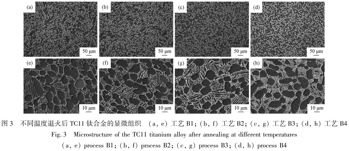 1708354361291333.jpg t3.jpg