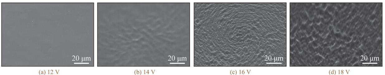 1716123928938638.jpg 360截圖16550419575780.jpg