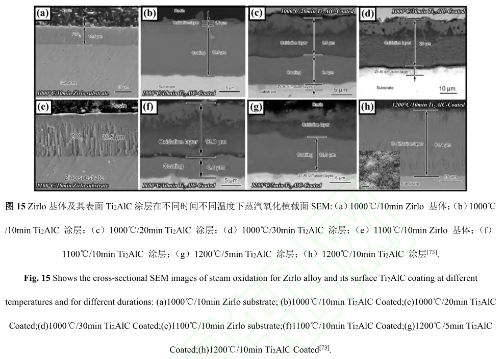 1729135328597252.jpg 15.jpg