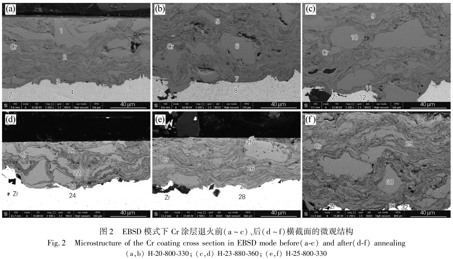 1729500888501302.jpg 2.jpg