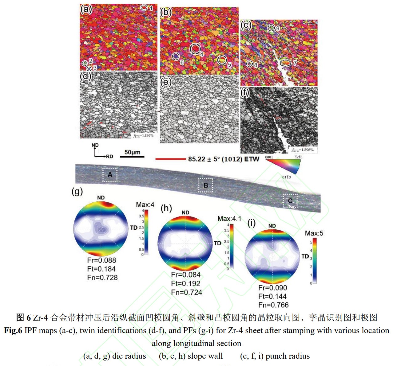 1734139732571515.jpg 6.jpg