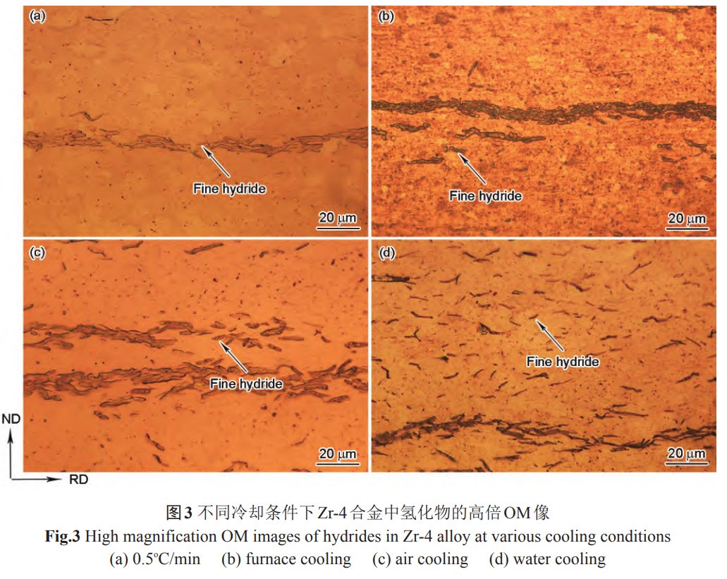 1734144457566187.jpg 3.jpg